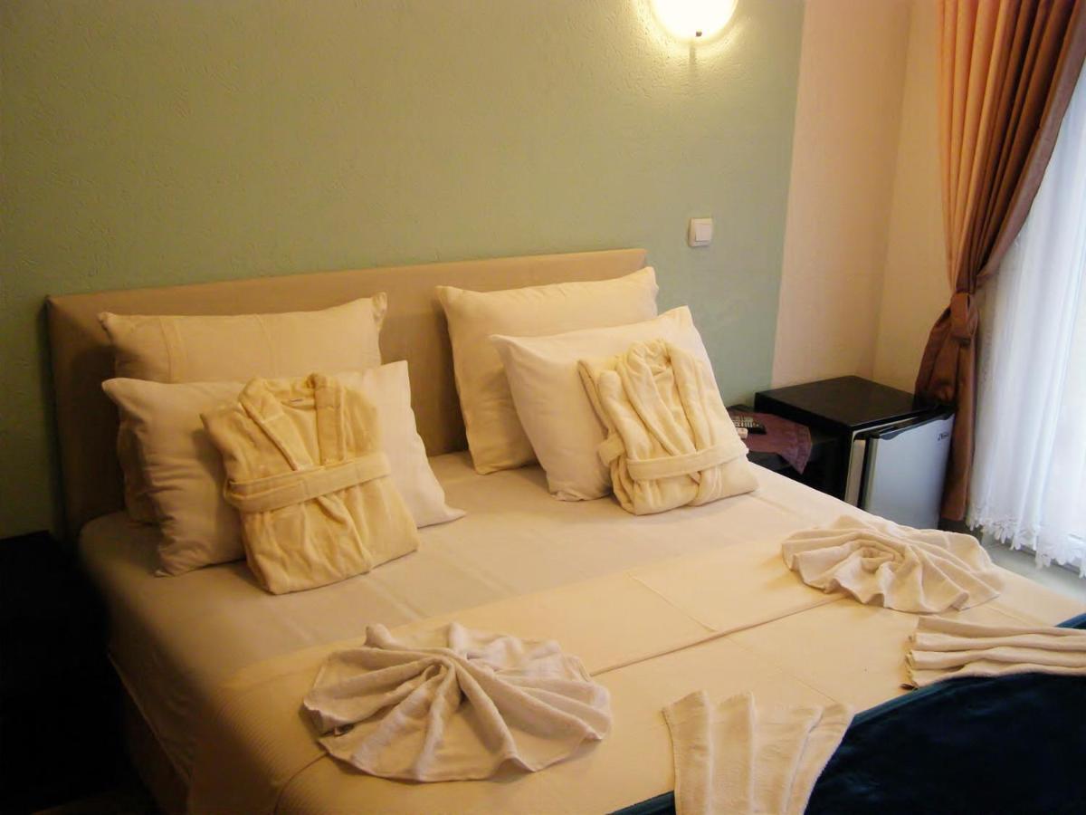 Hotel Wellness & Spa Angelo Gabriel Petrovac Exterior foto